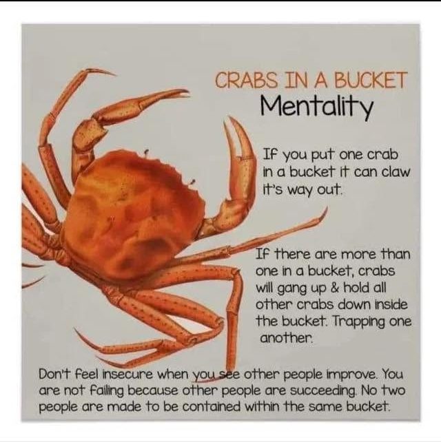 An illustrated crab with text explaining the 'crabs in a bucket' mentality, emphasizing how crabs can pull each other down instead of allowing each other to escape.